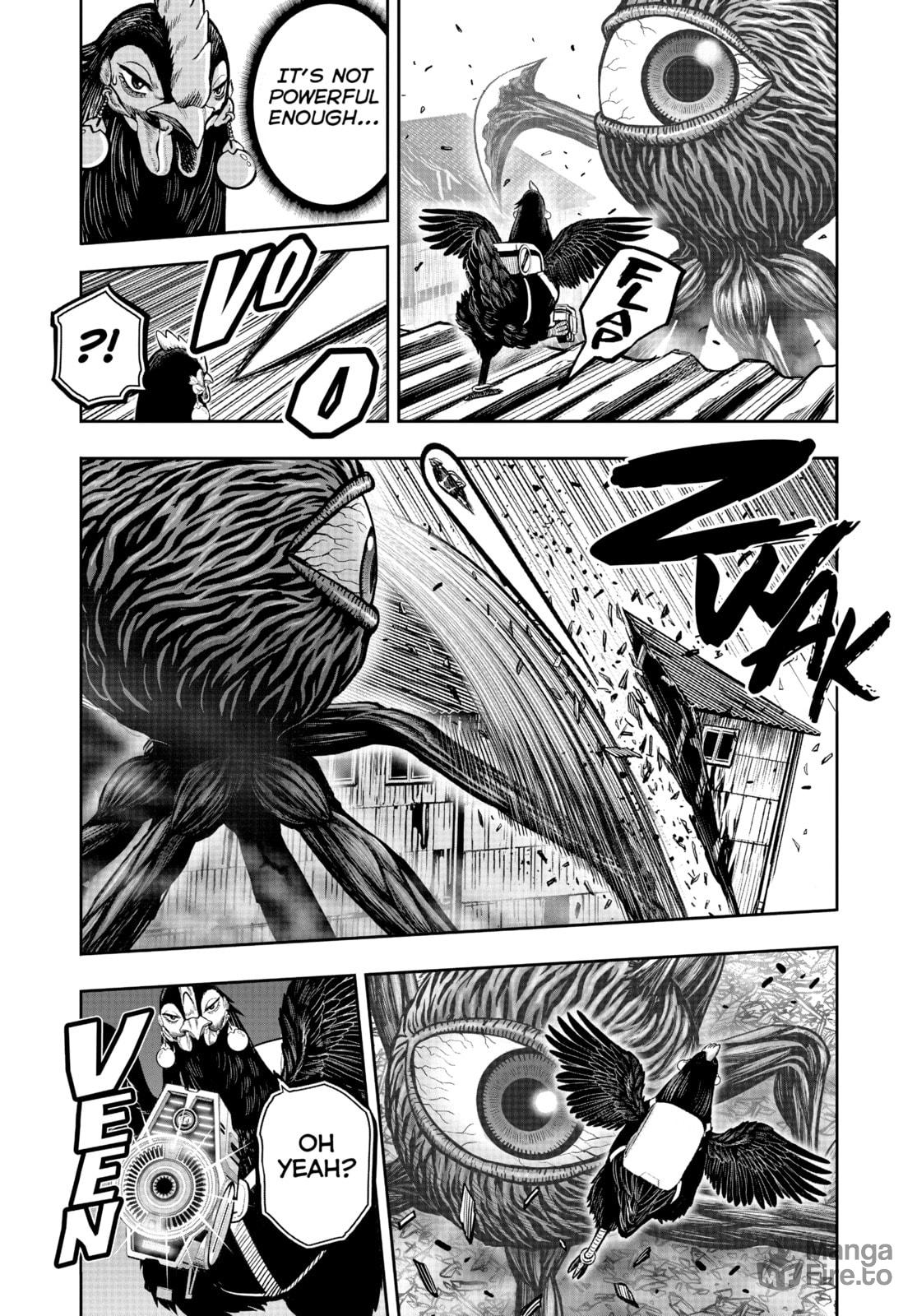 BEHIND EVERY ROOSTER page 11