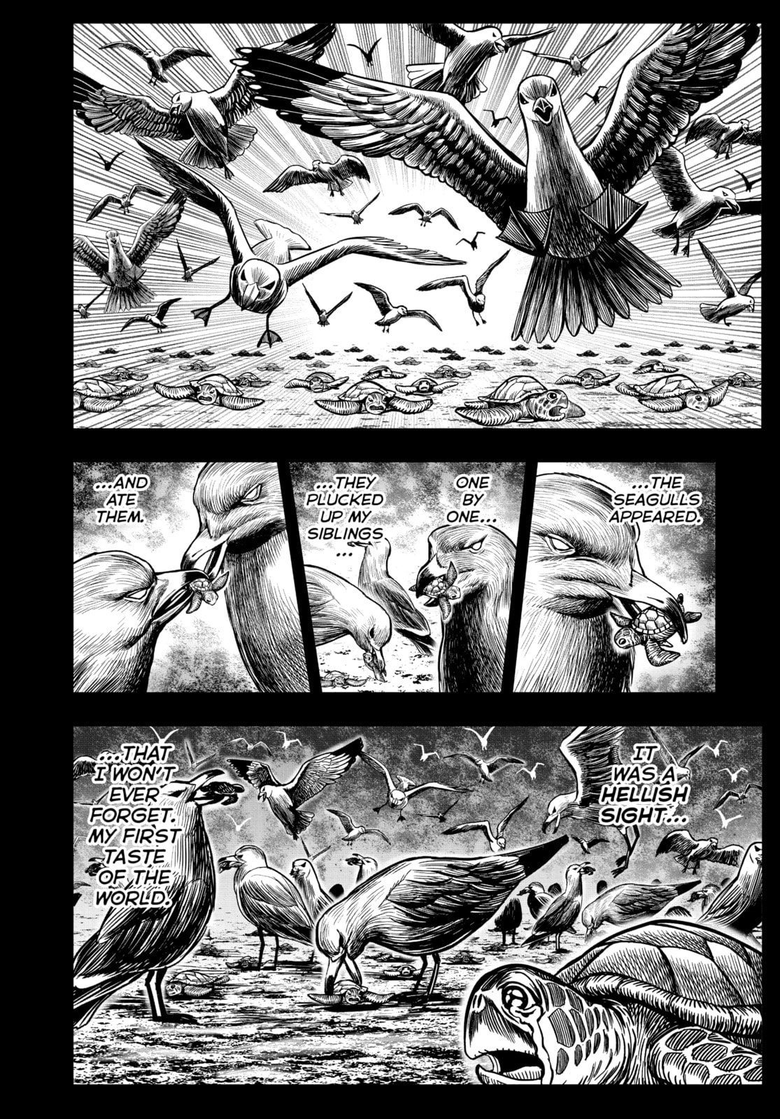 The Bird and the Sea Turtle page 21