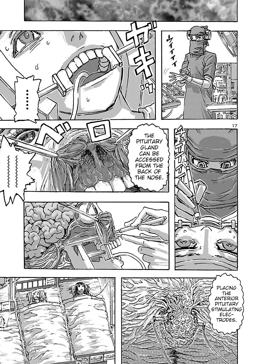 Gathering of the Beauties page 16