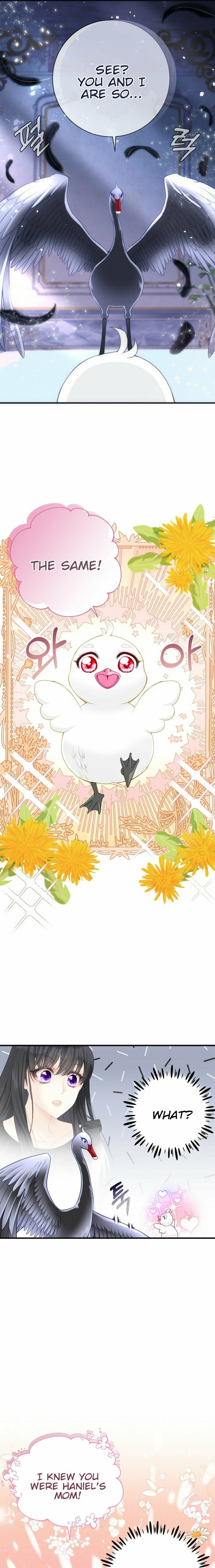 I Became the Black Swan Mother of the White Swan Princess – Chapter 5 page 22