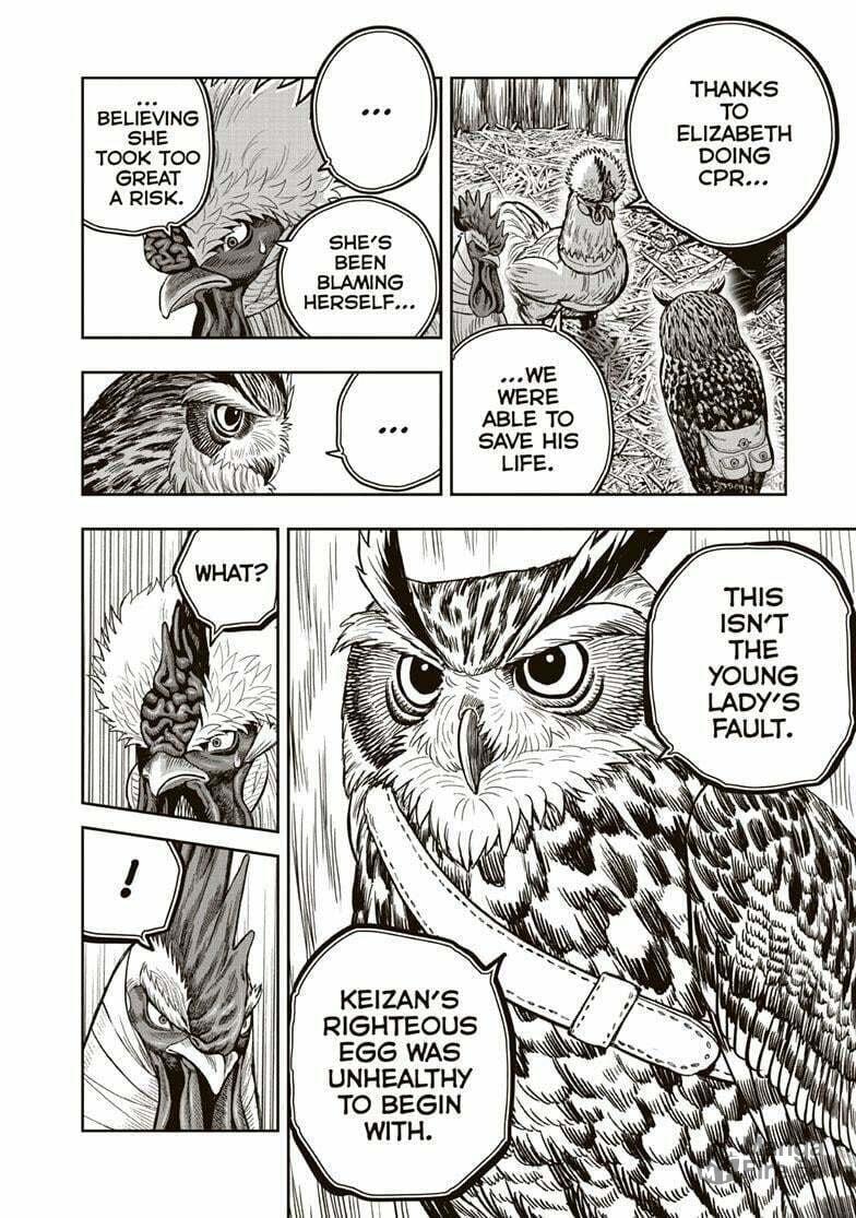Rooster Fighter – Chapter 38 page 14