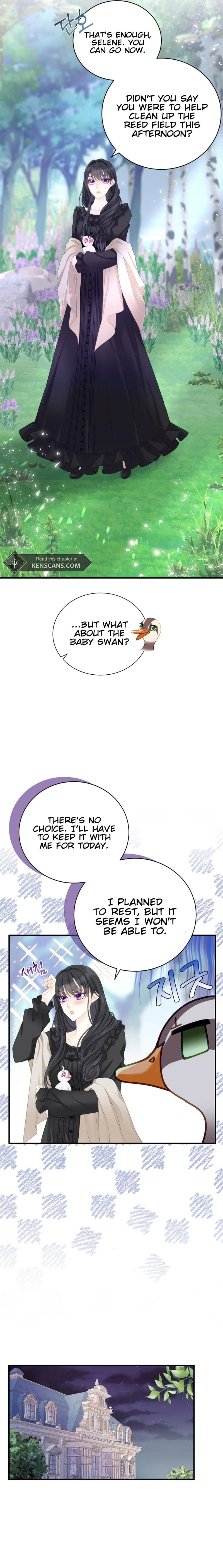 I Became the Black Swan Mother of the White Swan Princess – Chapter 4 page 5