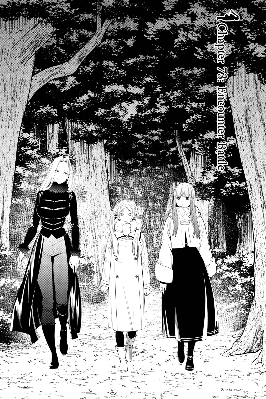 Encounter Battle page 0