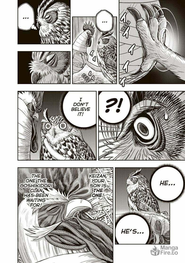 Rooster Fighter – Chapter 38 page 24