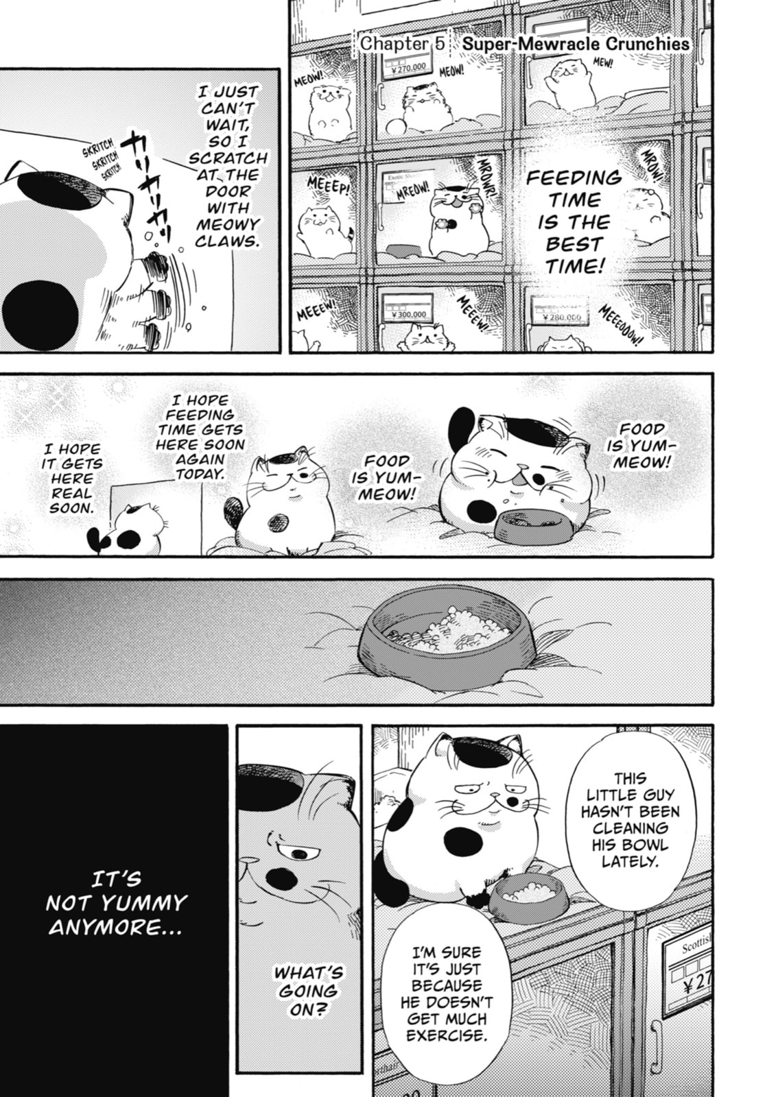 A Man and His Cat – Chapter 5 page 0