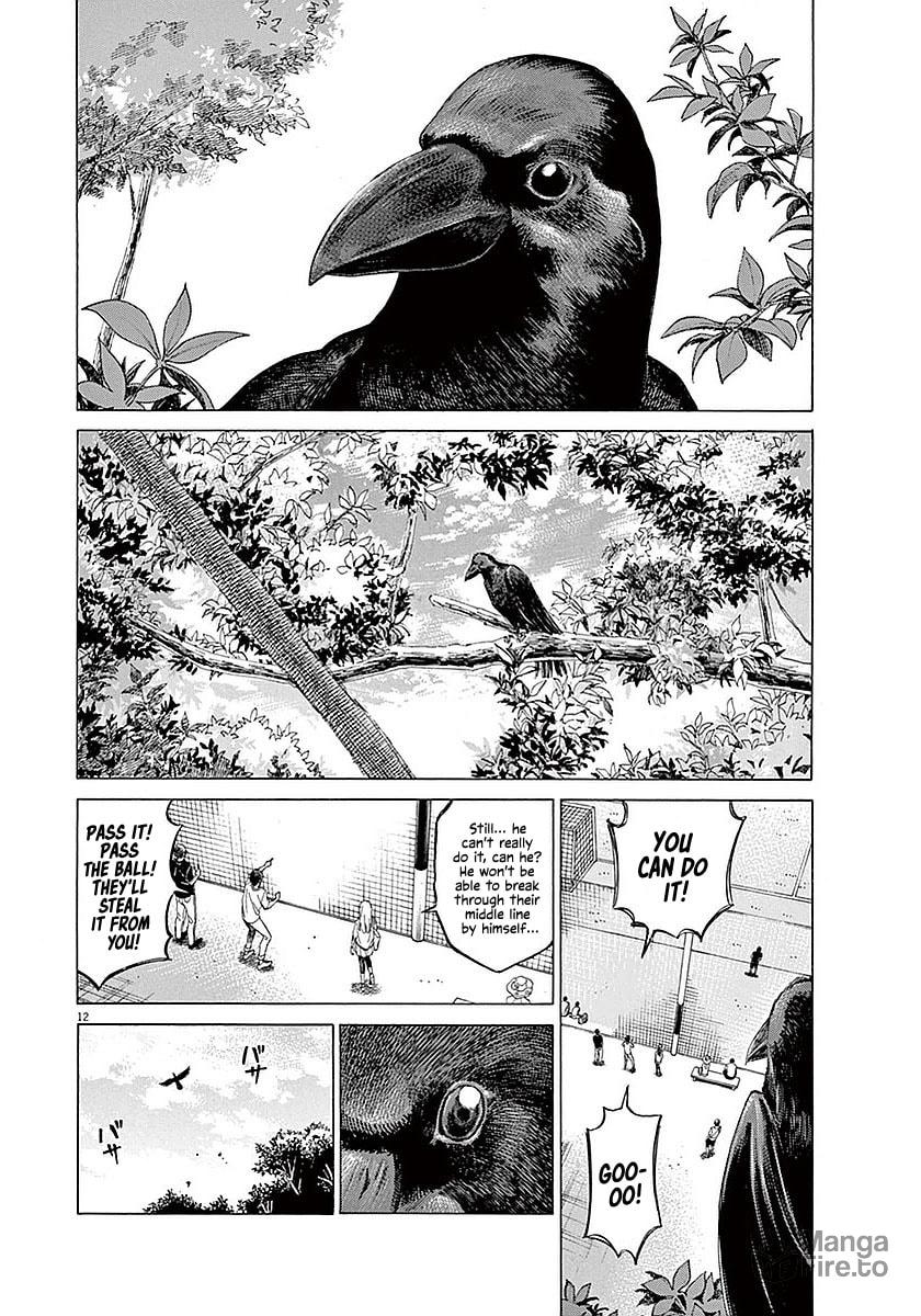 Crow page 11
