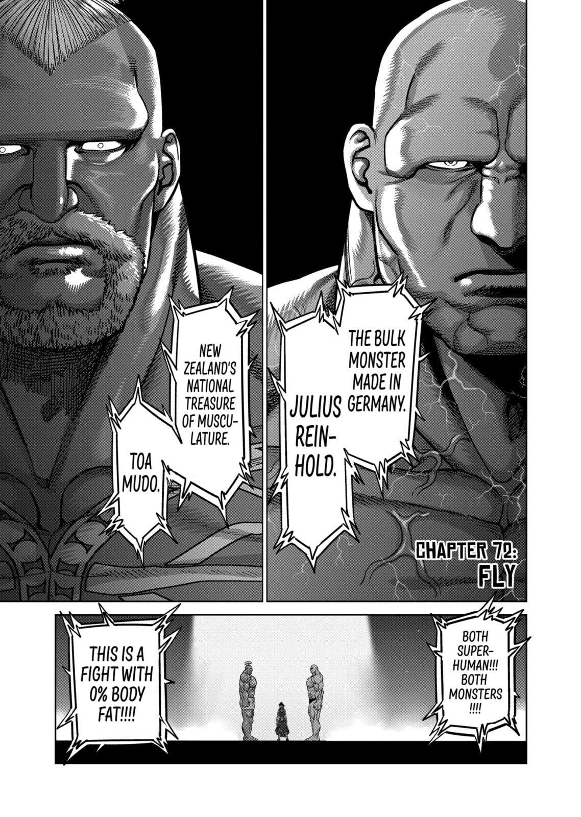 Fly page 0