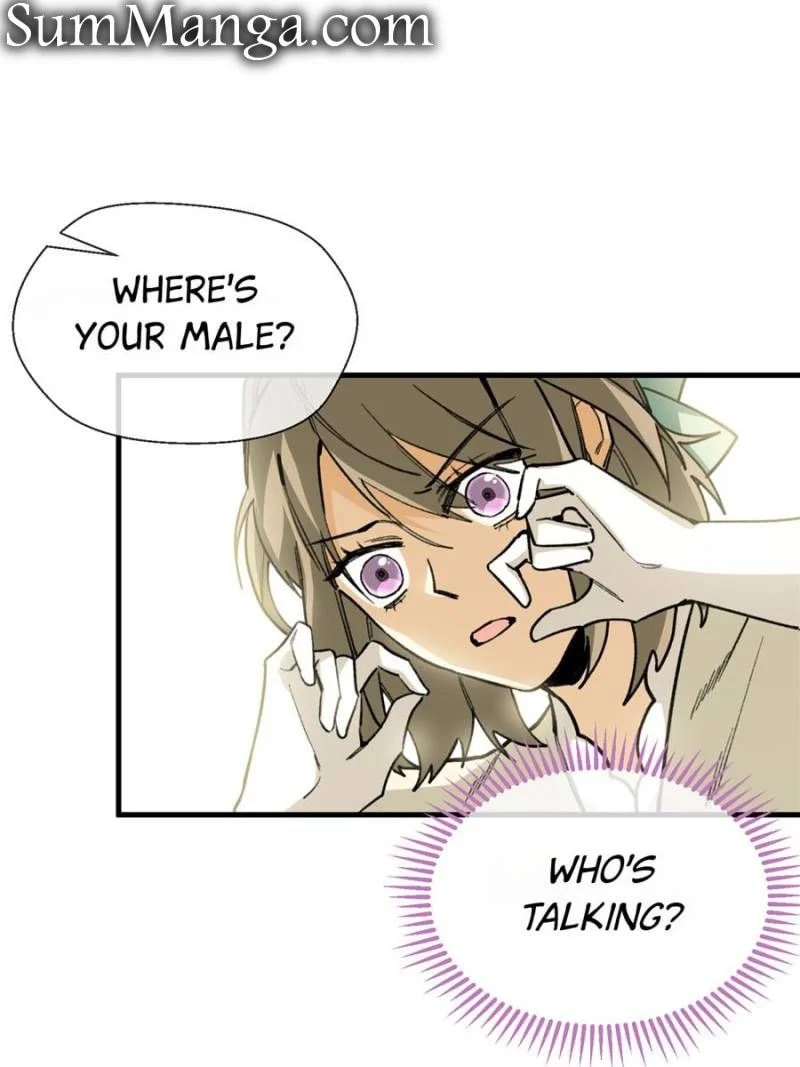 Clumsy Master, You've Crossed the Line! – Chapter 20 page 37