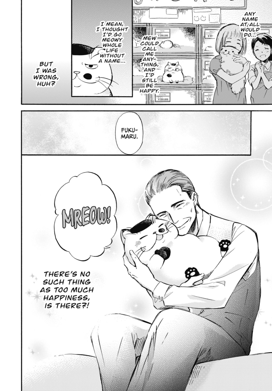 A Man and His Cat – Chapter 3 page 3