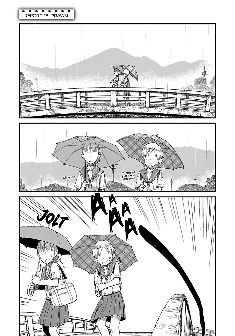 Prawn page 0