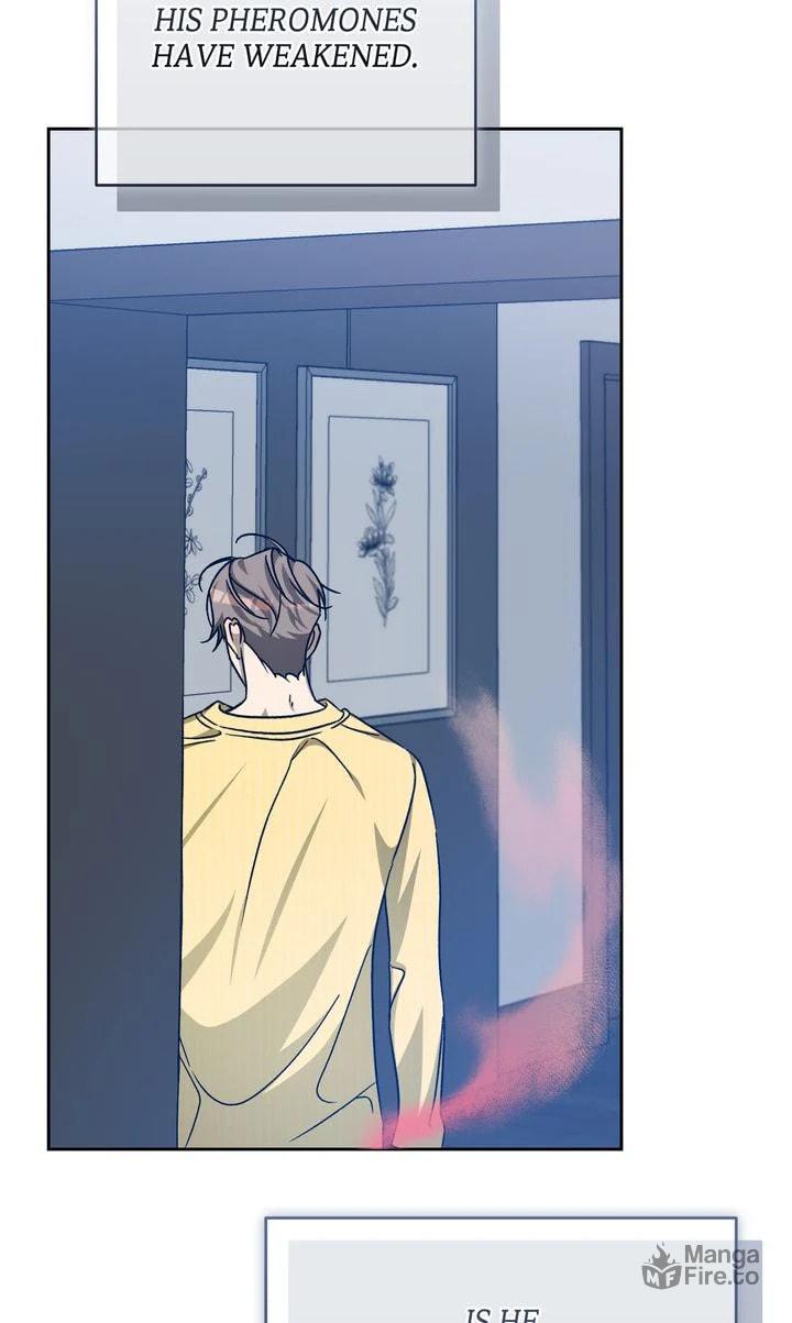 Cozy Obsession – Chapter 51 page 35