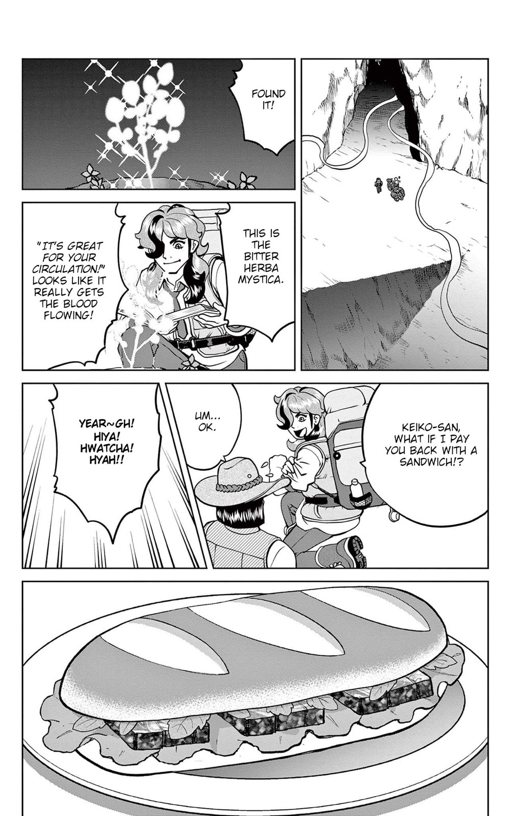 Decisive Battle in the Sky!! (VS Bombirdier) page 12