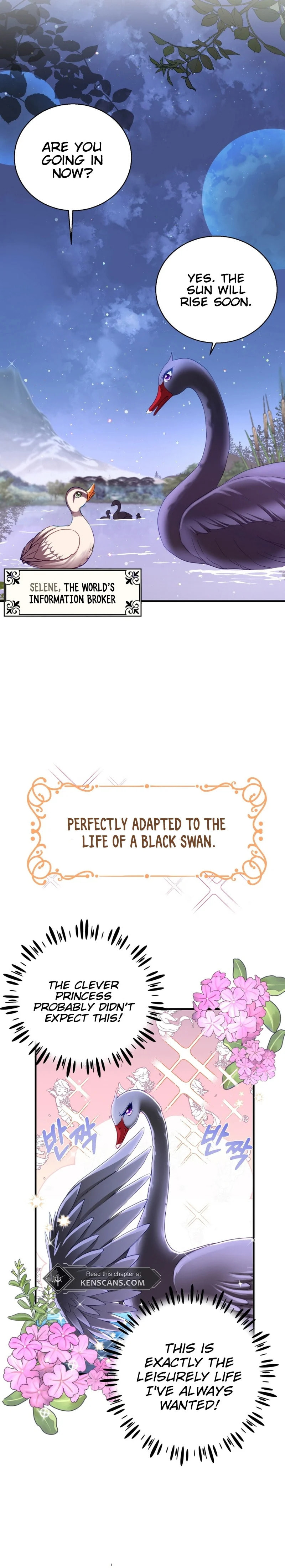 I Became the Black Swan Mother of the White Swan Princess – Chapter 3 page 11