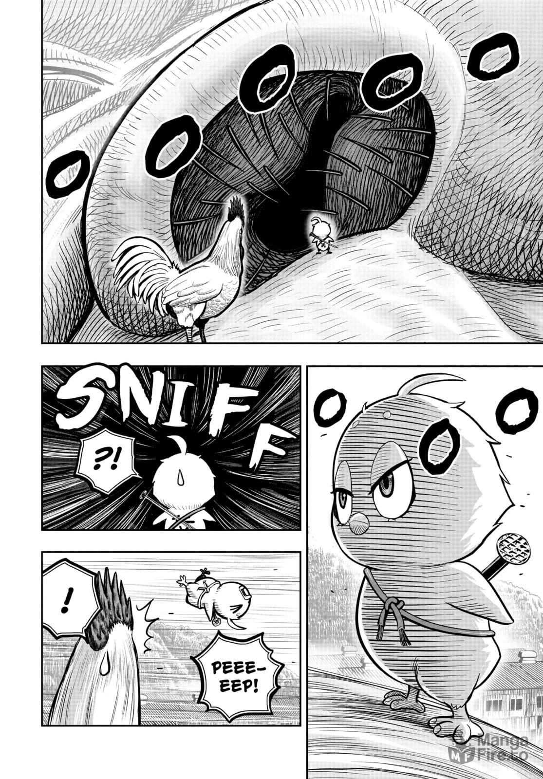 BEHIND EVERY ROOSTER page 32