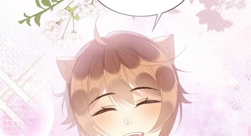 Help! My Beast Husband Pampers Me Too Much! – Chapter 12 page 43