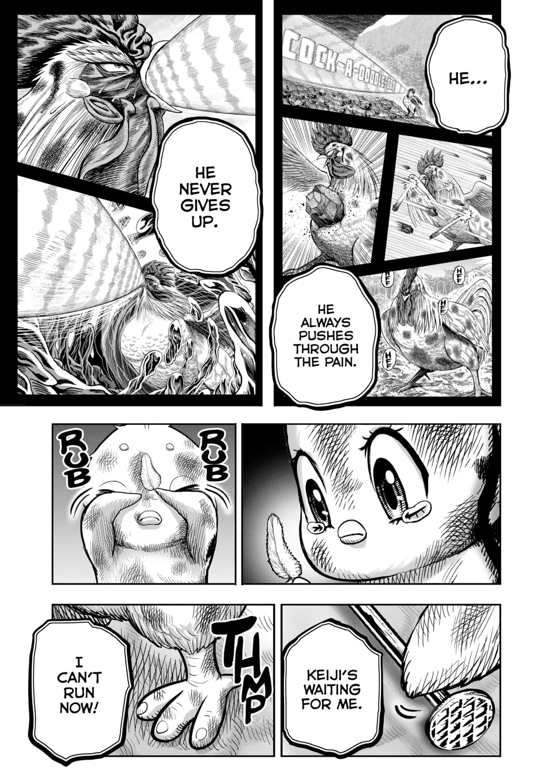 BIRDS OF A FEATHER FIGHT TOGETHER page 42