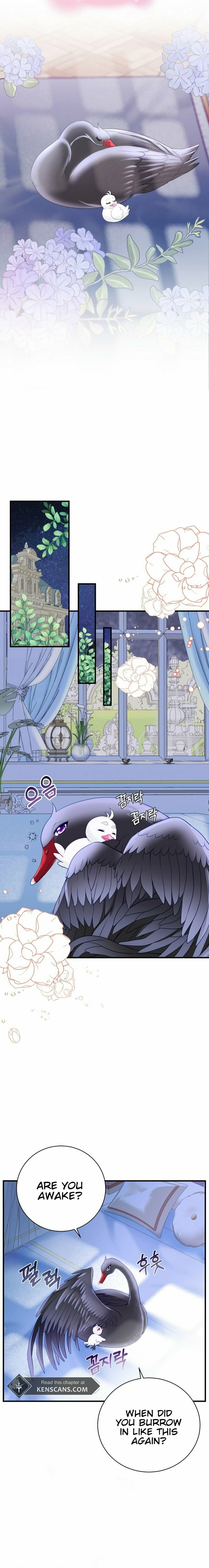 I Became the Black Swan Mother of the White Swan Princess – Chapter 4 page 13