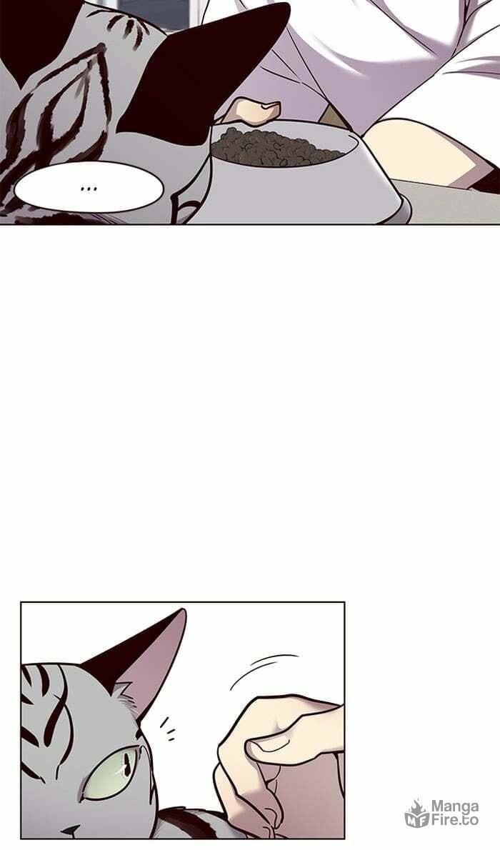 Eleceed – Chapter 55 page 14