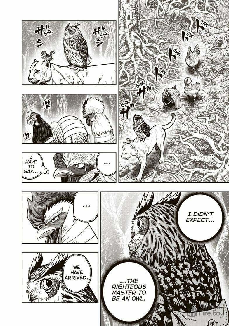 Rooster Fighter – Chapter 38 page 4
