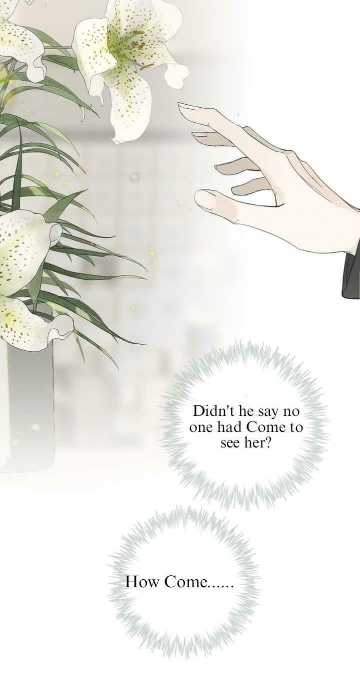 Cage page 33