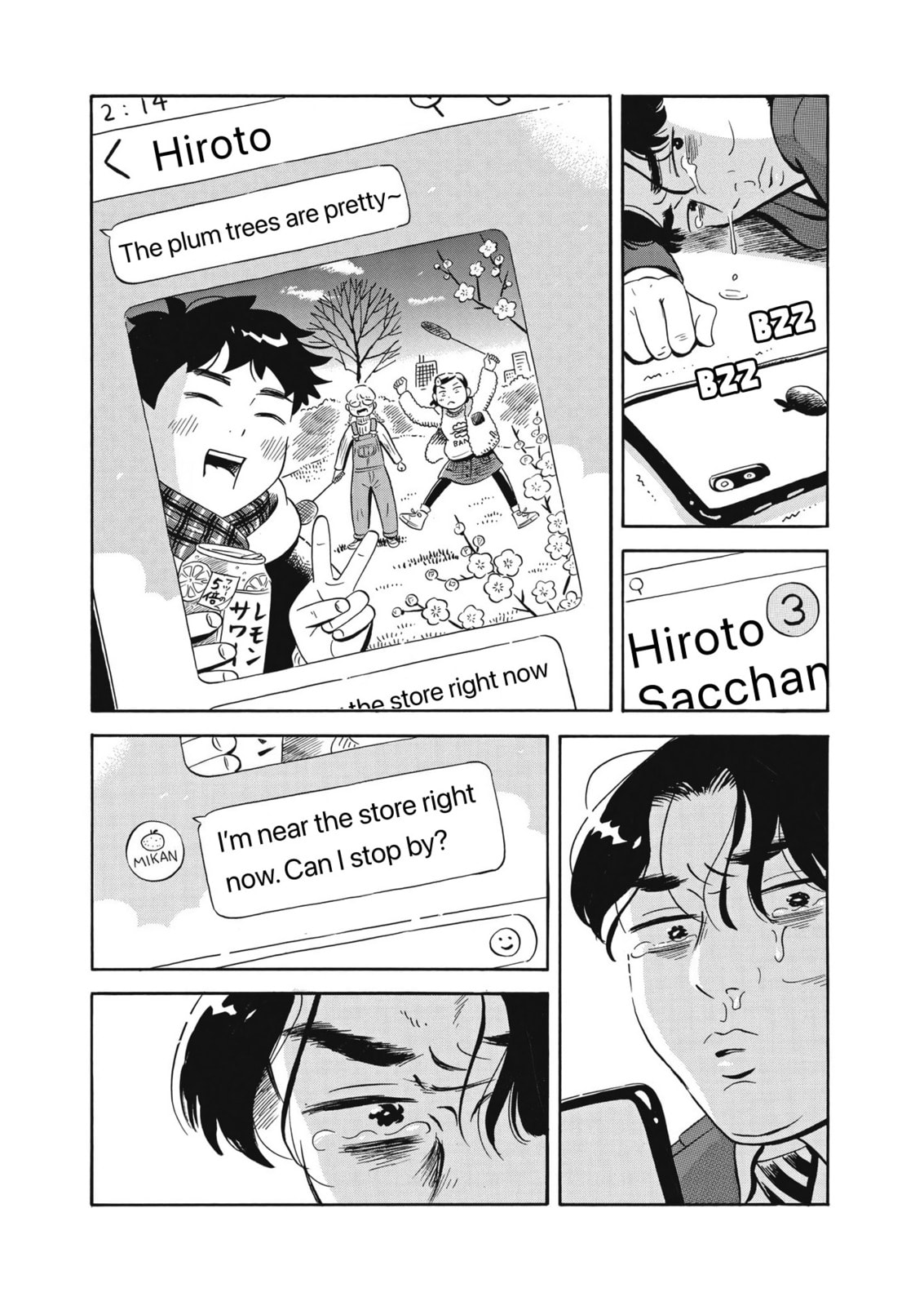 Youth and Rice Fields page 16