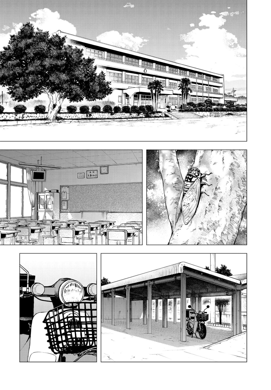 Return Match page 3