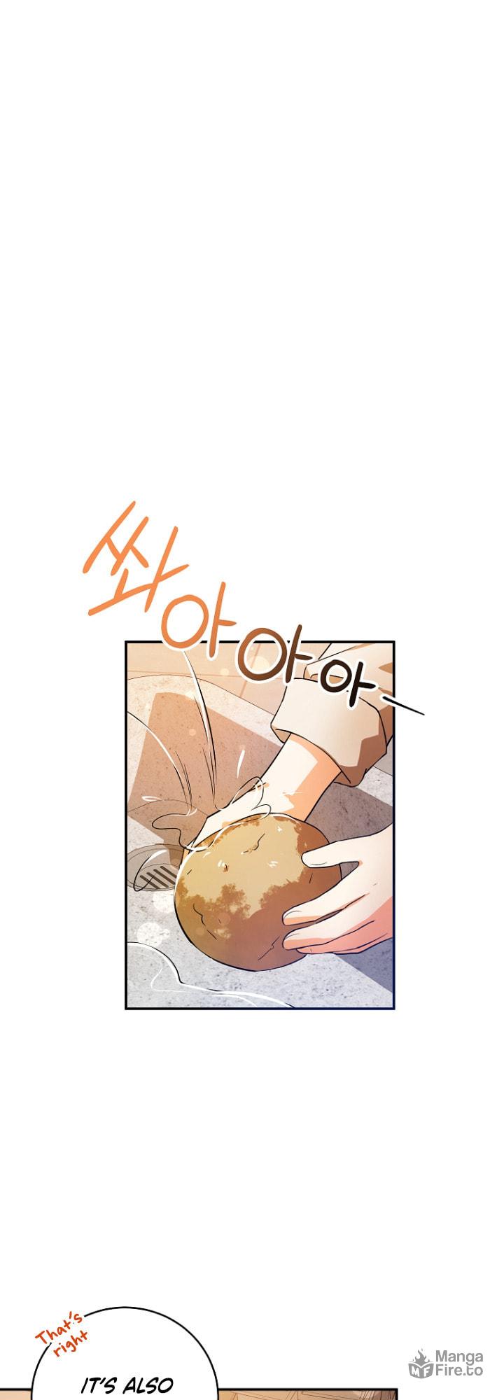 Adopted Daughter-in-Law Is Preparing to Be Abandoned – Chapter 2 page 26