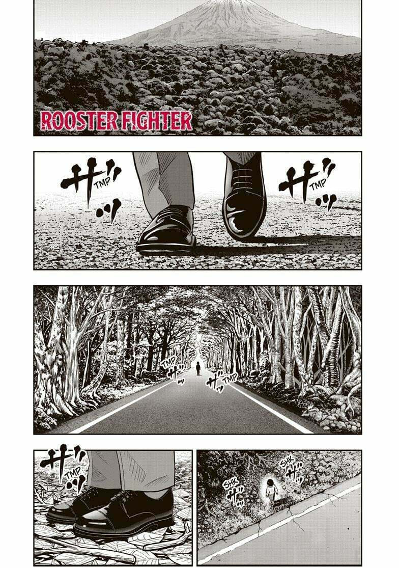 Rooster Fighter – Chapter 38 page 0