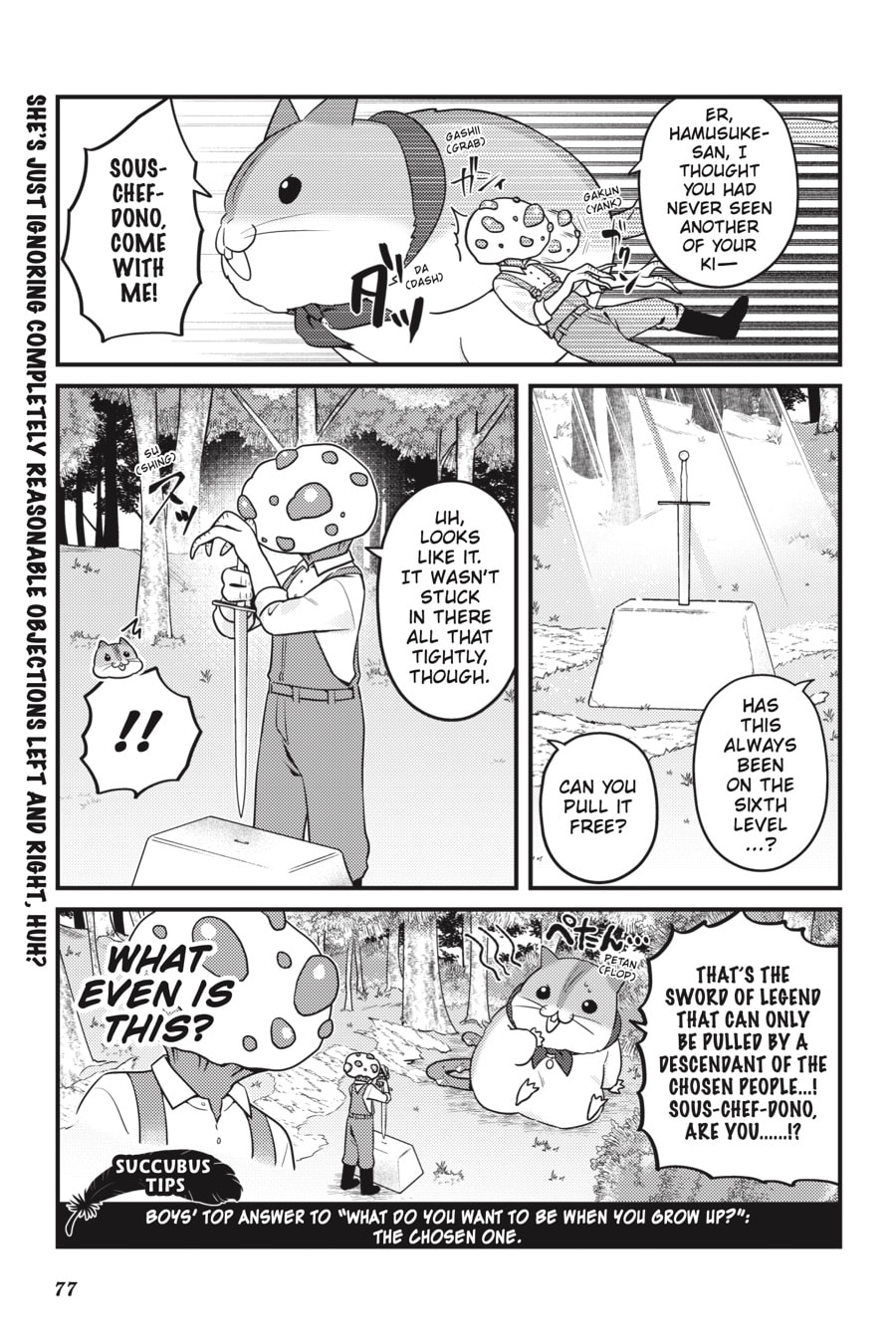 Succubus Tips page 12