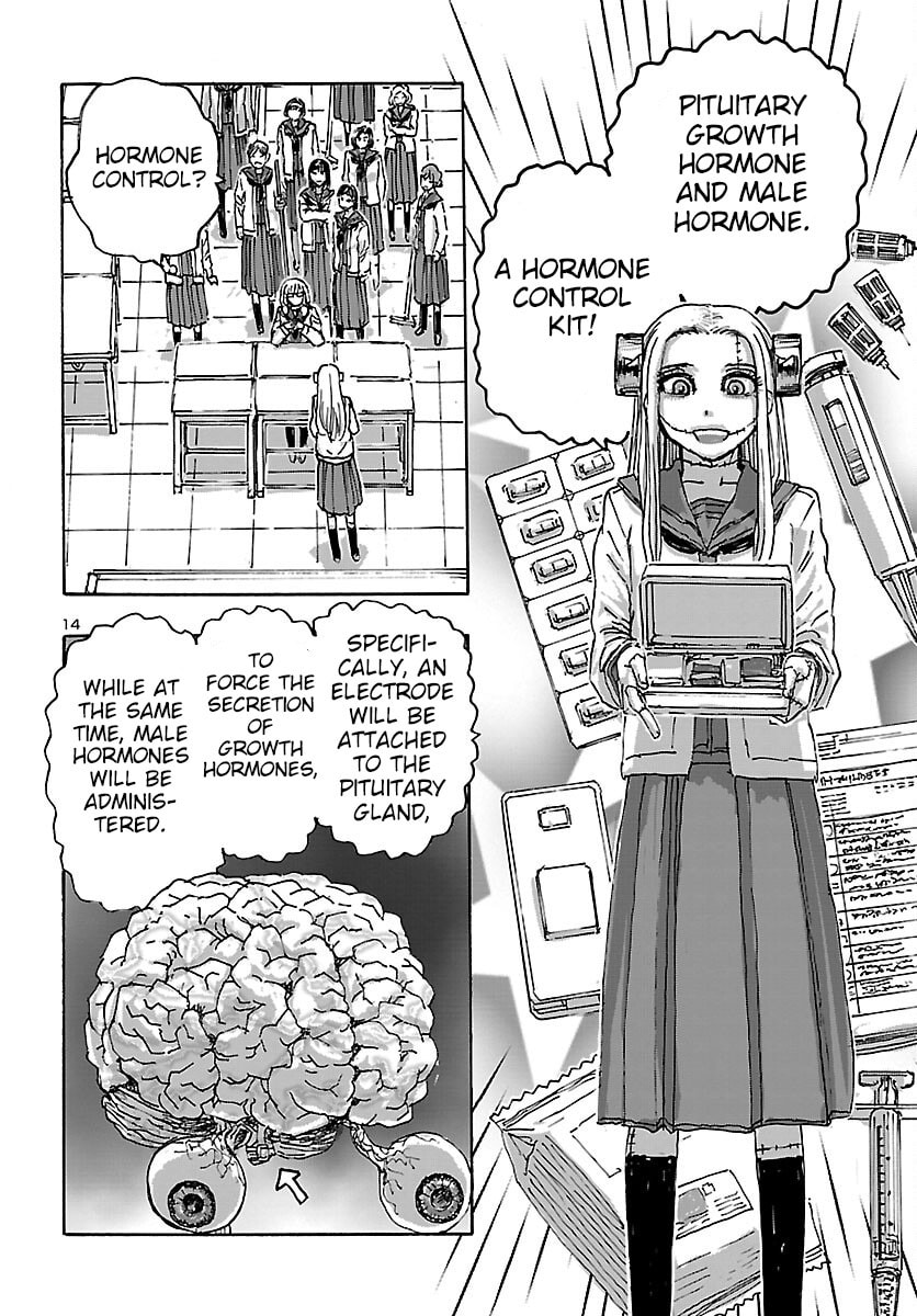 Gathering of the Beauties page 13