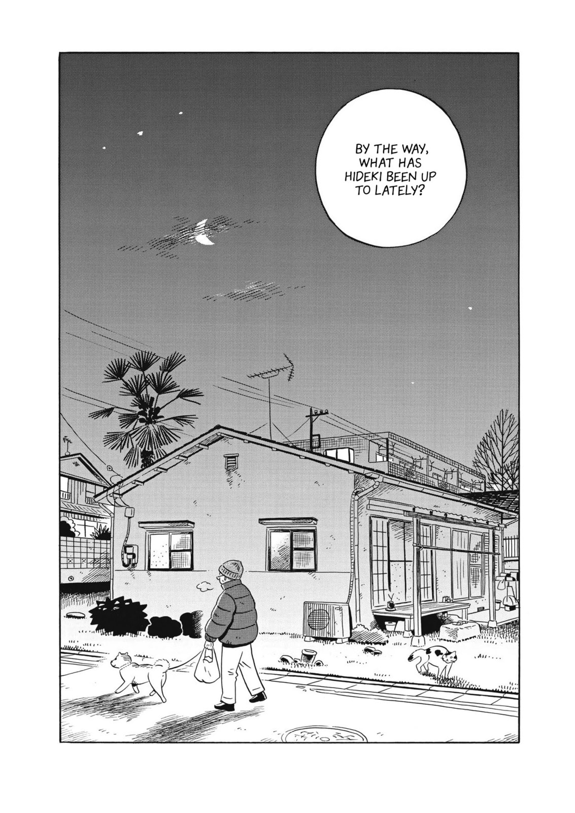 Youth and Rice Fields page 1