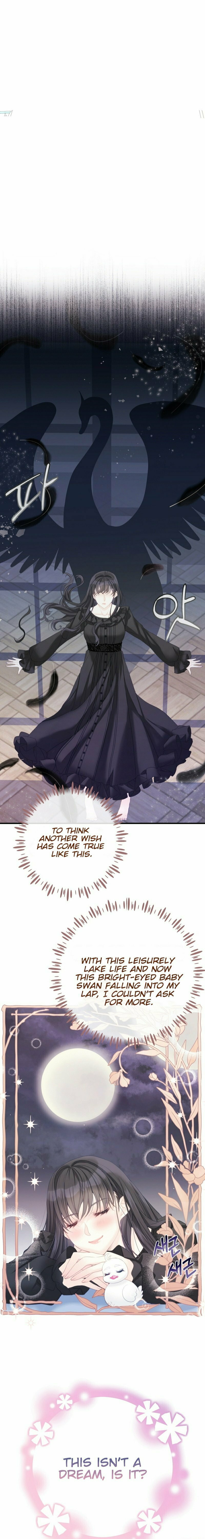 I Became the Black Swan Mother of the White Swan Princess – Chapter 4 page 12