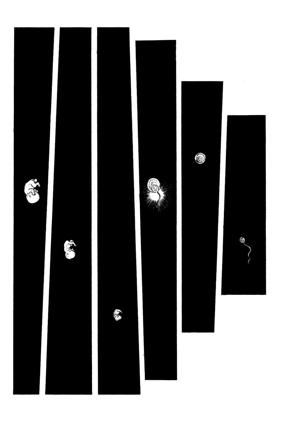 The Origin page 0