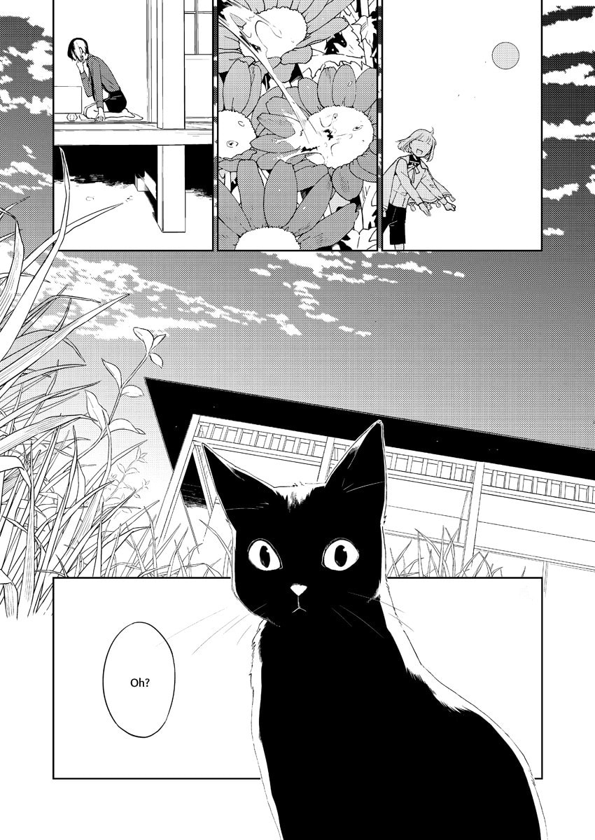 Cat in the Garden page 1
