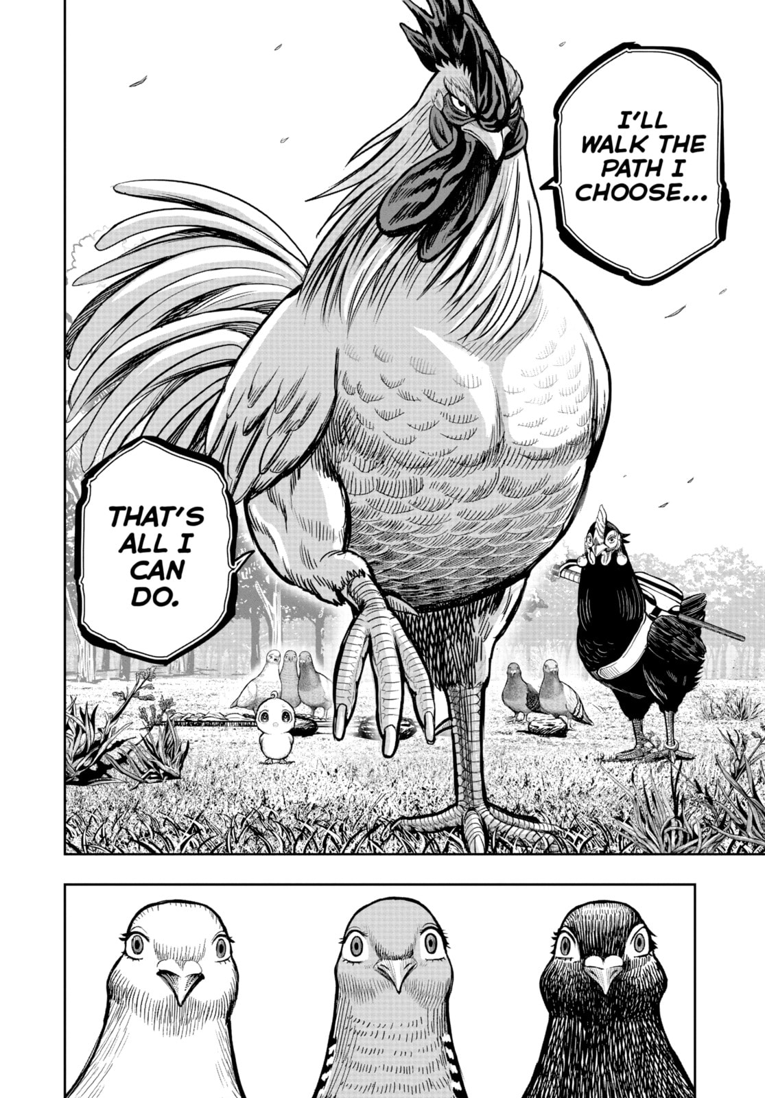 ONE-TRICK ROOSTER page 27