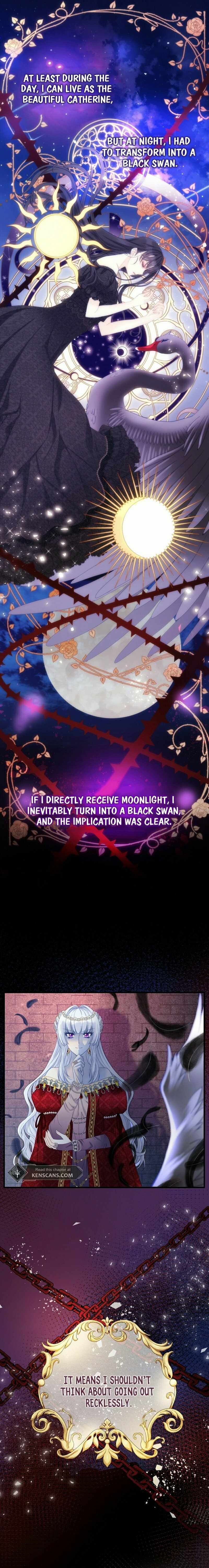 I Became the Black Swan Mother of the White Swan Princess – Chapter 3 page 9