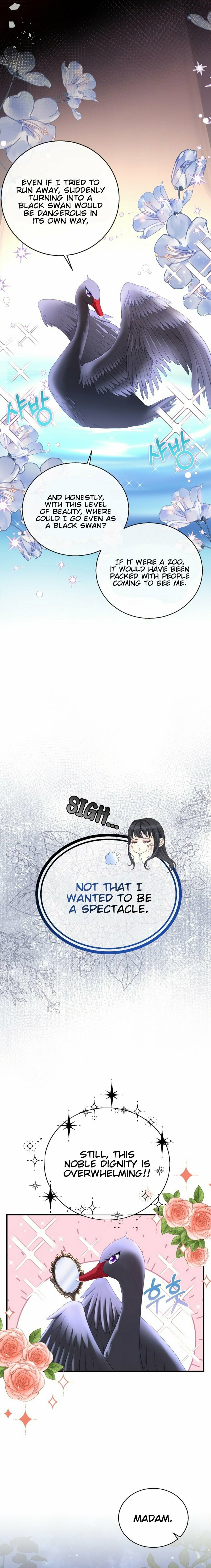 I Became the Black Swan Mother of the White Swan Princess – Chapter 3 page 10