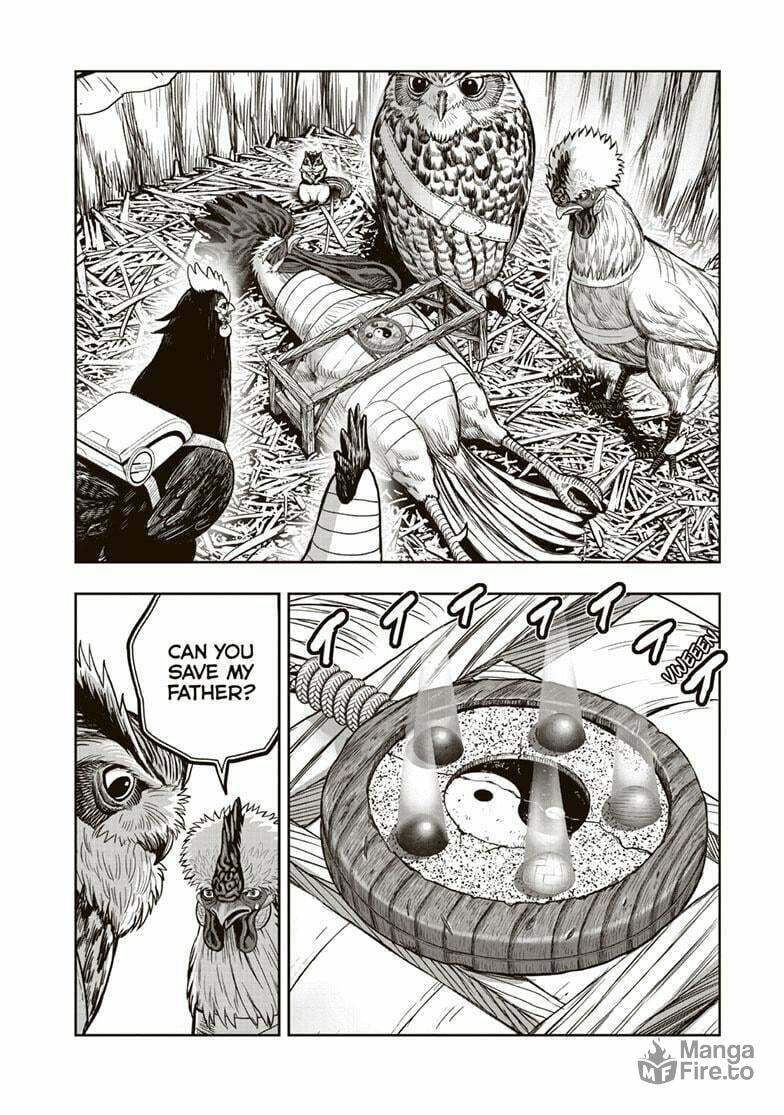 Rooster Fighter – Chapter 38 page 8