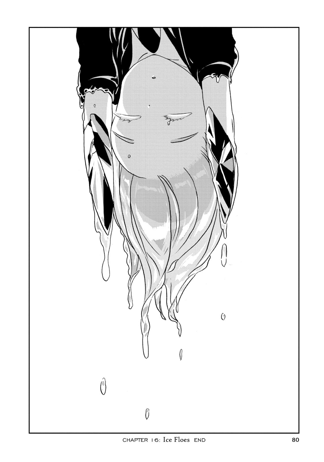 Ice Floes page 25