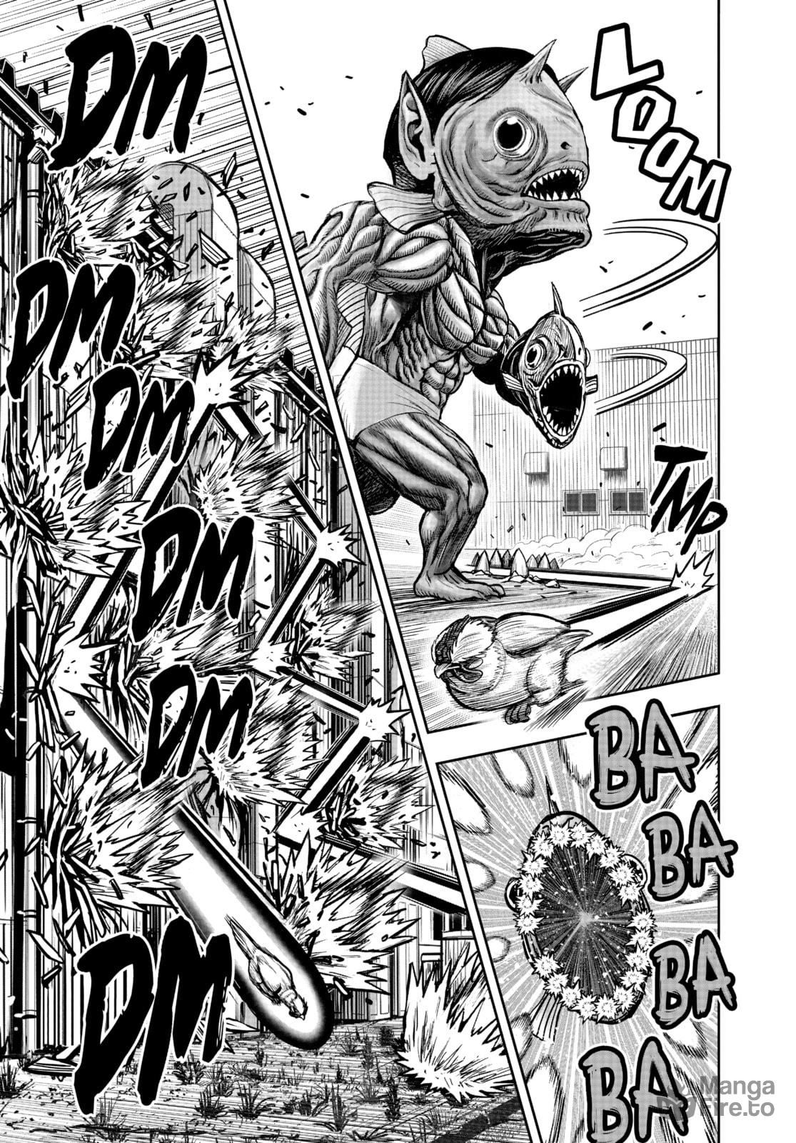 BEHIND EVERY ROOSTER page 24