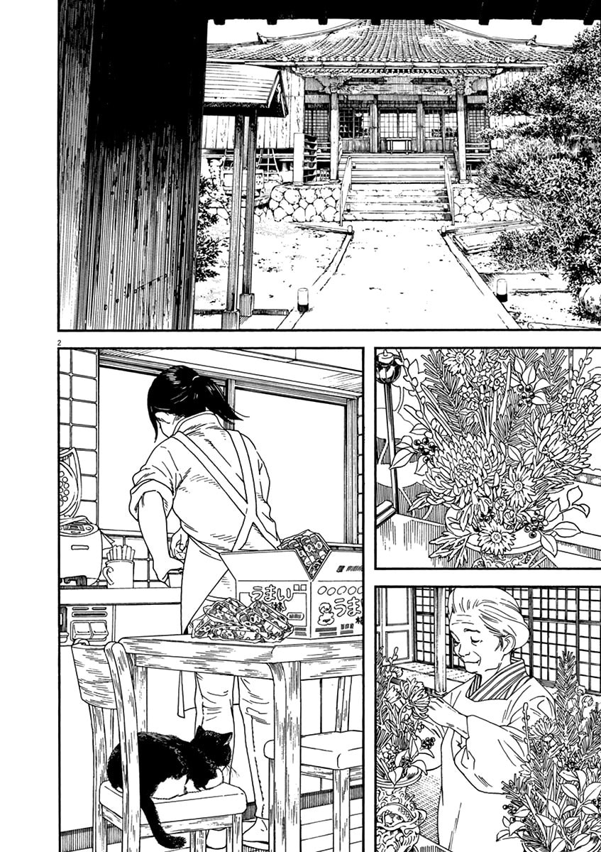 New Year's Eve, First Sunrise and Chion page 1