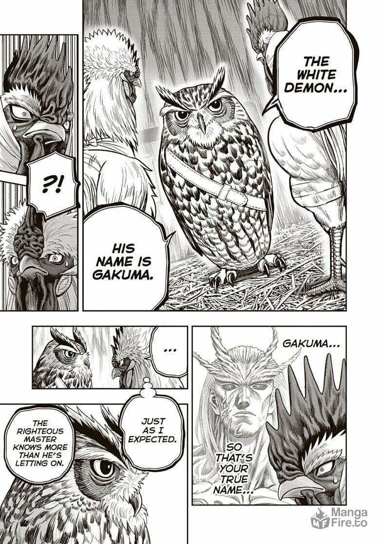 Rooster Fighter – Chapter 38 page 17