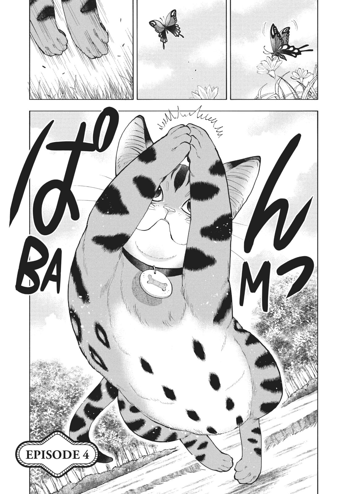 A Cat from Our World and the Forgotten Witch – Chapter 4 page 0
