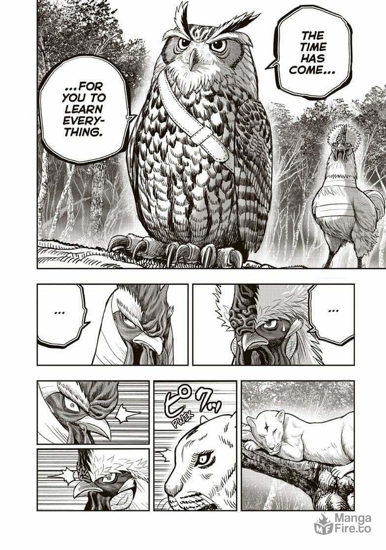 Rooster Fighter – Chapter 38 page 38