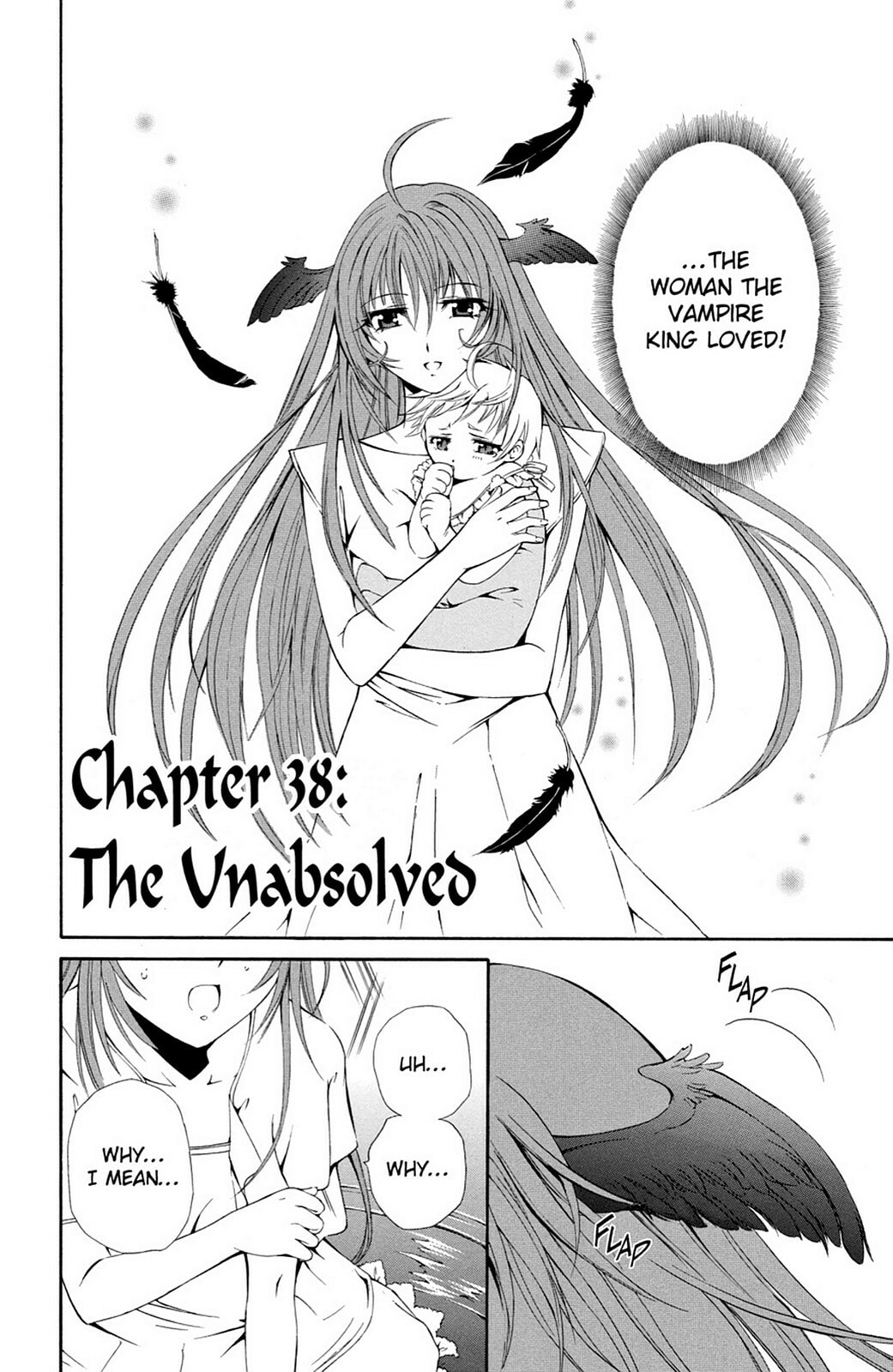 The Record of a Fallen Vampire – Chapter 38 page 1