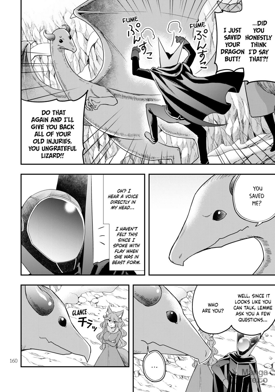 Blizzard Dragon page 20