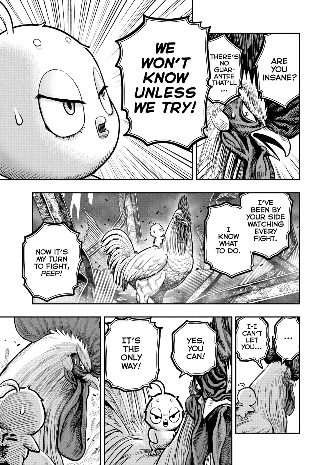 BEHIND EVERY ROOSTER page 7