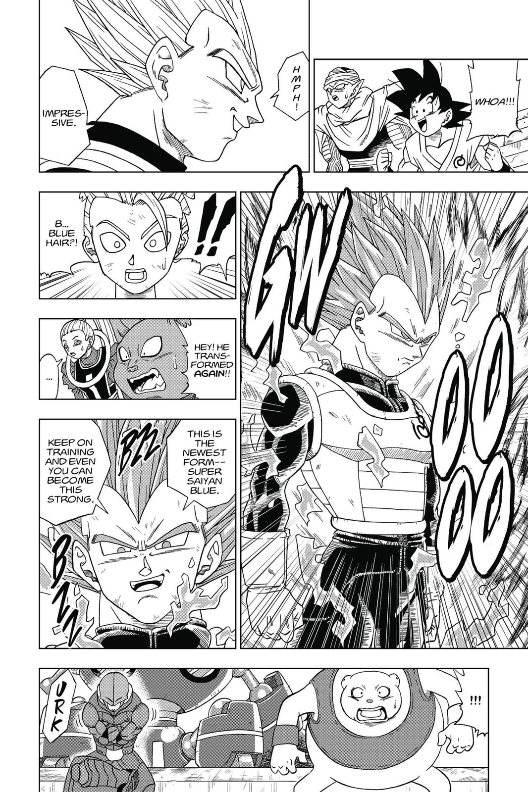 Saiyan's Pride page 13