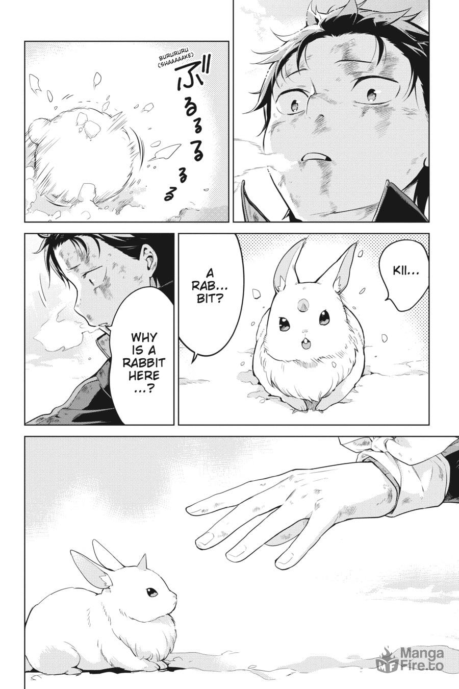 Tiger page 17